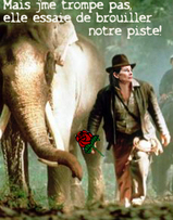 Indiana_jones_et_le_temple_maudit_i